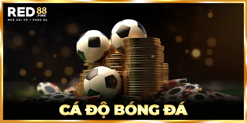 Cá Độ Bóng Đá