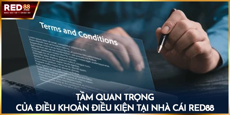 Tầm quan trọng của điều khoản điều kiện tại nhà cái Red88