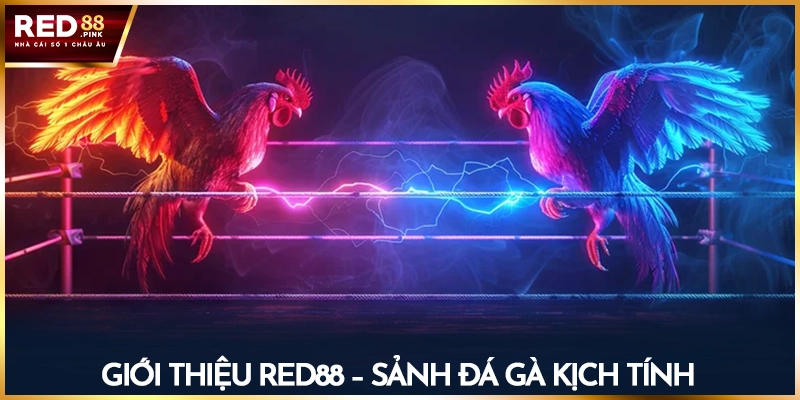 Giới thiệu Red88 - Sảnh đá gà kịch tính